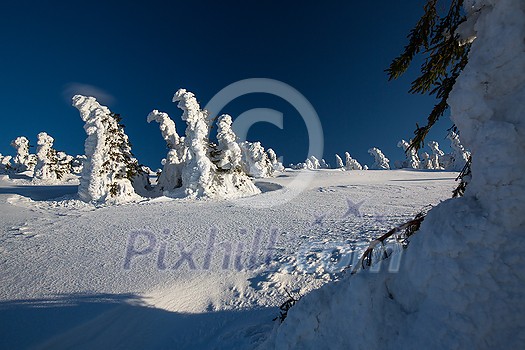 Wonderful Winter Landscape. Awesome Alpine Highlands in Sunny Day. Christmas holyday concept. Winter mountain forest. Snowy mountains and perfect blue sky. Amazing Nature background. postcard.