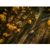 Aerial view of an off-road car amid splendid, colorful autumnal landscape