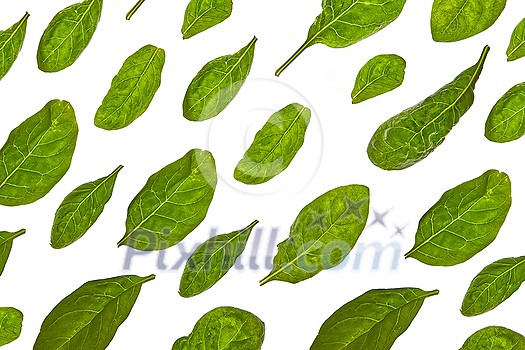 Plant vegetable horizontal pattern from fresh natural organic spinach leaves diagonally arranged on a white background. Top view.