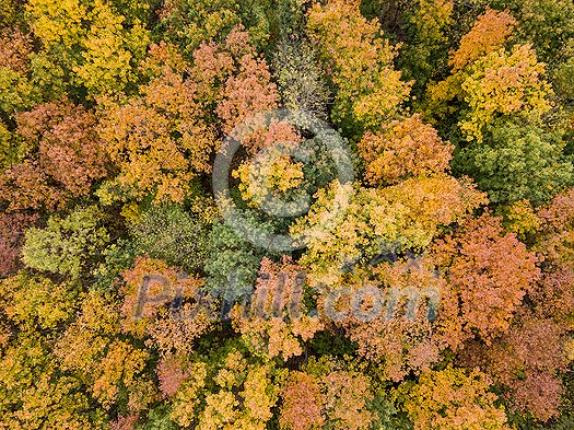 Aerial fall panoramic landscape from the drone above forest area from colorful trees with yellow and green leaves. Top aerial view. Aerial fall panoramic landscape from the drone above forest area from colorful trees with yellow and green leaves. Top aerial view.