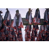 Air drying of Salmon fish on wooden structure for Traditional food preservation at Winter in Lofoten Islands, Norway Scandinavia