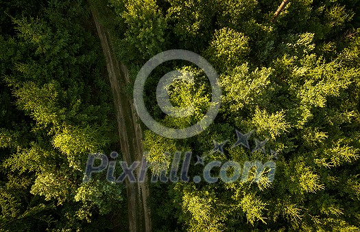 Aerial view of vast forests Aerial view of vast forests