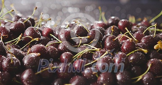 Close-up berry blurred cherry background with sunlight and beautiful bokeh. Water droplets glow on ripe berries. A sunbeam illuminates the red ripe cherries. Slow motion video in 4k. Soft focus.