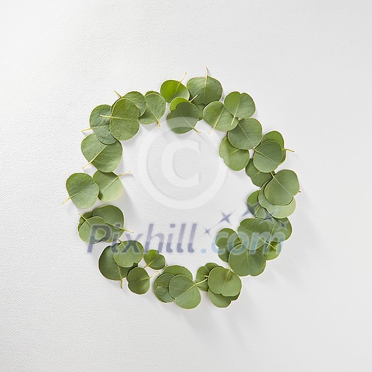 Decorative rectangular frame handmade from natural evergreen leaves of Eucalyptus plant on a light grey background with copy space. Top view. Decorative rectangular frame handmade from natural evergreen leaves of Eucalyptus plant on a light grey background with copy space. Top view.
