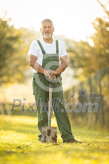 Senior gardener gardening in his permaculture garden - holding a spade