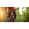 Pretty, young woman biking on a mountain bike enjoying healthy active lifestyle outdoors in summer (shallow DOF)