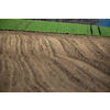 Agricultural landscape, arable crop field. Arable land is the land under temporary agricultural