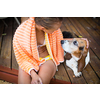 Young woman with her dog by the pool, teasing him