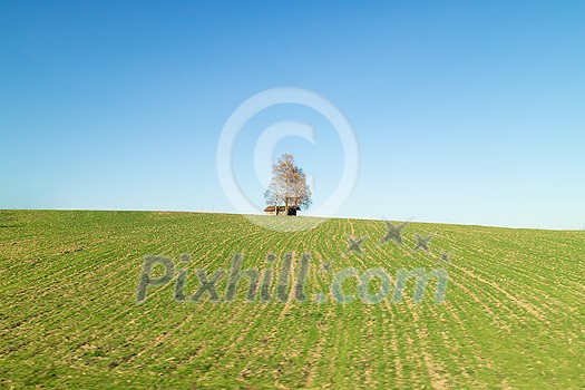 Creative rural landscape with alone tree and wooden house on a green fields under blue clean sky in a spring time, Austria. Creative rural landscape with alone tree and wooden house on a green fields under blue clean sky in a spring time, Austria.