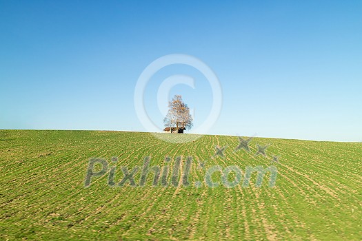 Creative rural landscape with alone tree and wooden house on a green fields under blue clean sky in a spring time, Austria.