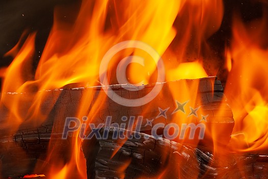 Close up view. Open fire burning woods background with copy space. Can be used for your creativity. Close up view. Open fire burning woods background with copy space. Can be used for your creativity.