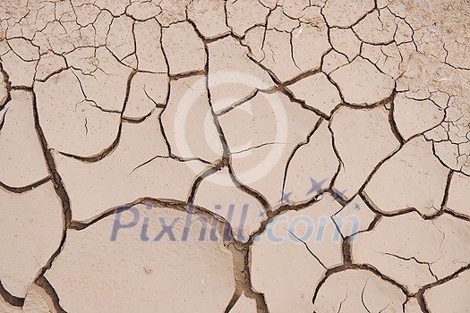 dry brown  ground background