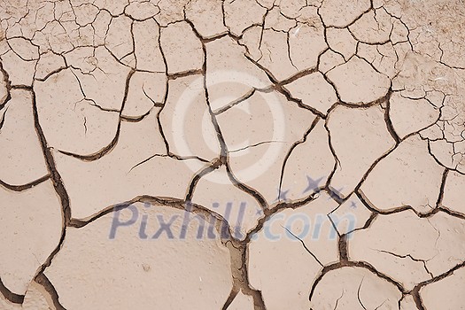 dry brown ground background dry brown ground background