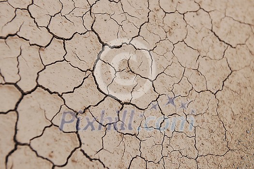 dry brown ground background dry brown ground background
