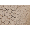 dry brown  ground background