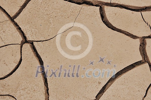 dry brown ground background dry brown ground background