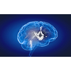 Science image with human brain on blue background