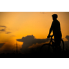 Young man with his mountain bike going for a ride past the city limits in a lovely forest, getting the daily cardio dose - silhouette image against sunset sky