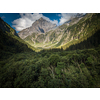 Aerial top view of summer green trees in forest with a splendid mountain river in Swiss Alps