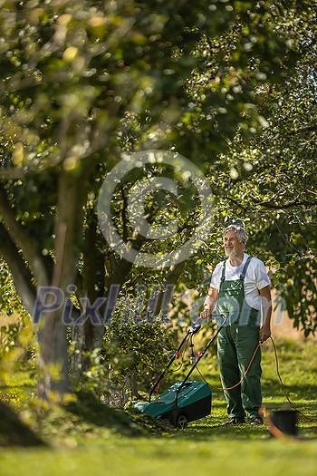 Senior gardenr gardening in his permaculture garden