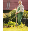 Senior gardenr gardening in his permaculture garden -  holding a splendid Savoy Cabbage head