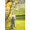 Portrait of senior man gardening, taking care of his lovely orchard, ejoying actively his retirement