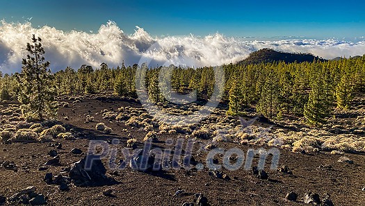 Peaks of Teide and Pico Viejo volcanoes at sunset seen from the Samara crater. Teide National Park, Tenerife, Canary Islands, Spain