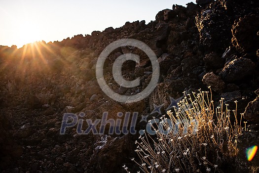 Colorful scenic landscape of moon rise in Tenerife national park of Teide. El Teide with moon rising by its side.