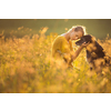 Pretty, young woman with her large black dog on a lovely sunlit meadow in warm evening light, playing together
