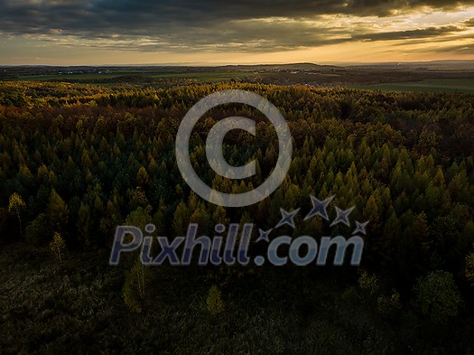 Sunset in a mountain forest landscape - warm sunlight hitting the tree tops at the close of the day Sunset in a mountain forest landscape - warm sunlight hitting the tree tops at the close of the day