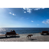 Old Age - Old couple sitting on a bench by the sea (shallow DOF)