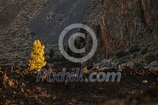 Colorful scenic landscape of moon rise in Tenerife national park of Teide. El Teide with moon rising by its side.