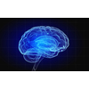 Science image with human brain on dark background