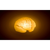 Science image with human brain on yellow background