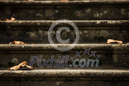 Autumn in the garden - fallen leaves on a historic staircase Autumn in the garden - fallen leaves on a historic staircase
