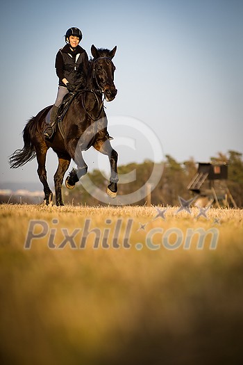 Female horse rider riding outdoors on her lovely horse Female horse rider riding outdoors on her lovely horse