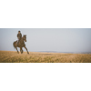 Female horse rider riding outdoors on her lovely horse