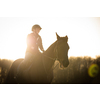 Female horse rider riding outdoors on her lovely horse