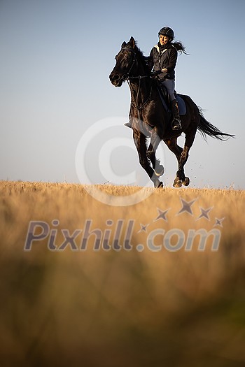 Female horse rider riding outdoors on her lovely horse