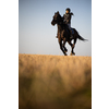 Female horse rider riding outdoors on her lovely horse