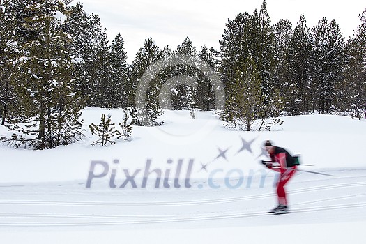 Cross-country skiing: young woman cross-country skiing on a winter day (motion blurred image)