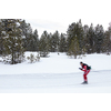 Cross-country skiing: young woman cross-country skiing on a winter day (motion blurred image)