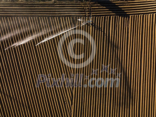 Intense agriculture fiekd being irrigatedwith huge amounts of water on a hot summer day - aerial image