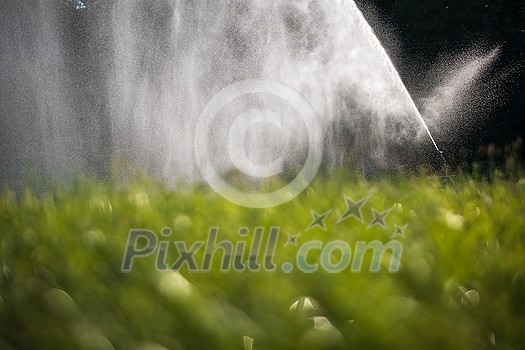 Intense agriculture corn fiekd being irrigatedwith huge amounts of water on a hot summer day Intense agriculture corn fiekd being irrigatedwith huge amounts of water on a hot summer day