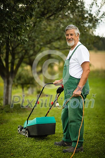 Senior gardenr gardening in his permaculture garden