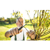 Senior gardener gardening in his permaculture garden - harvesting cabbage