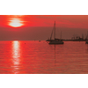 Sunrise on the seashore. In the silhouette of the ships in the harbor. Selective focus. High-quality photo