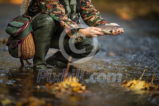 Close-up view of the hands of a fly fisherman holding a lovely trout while fly fishing on a splendid mountain river Close-up view of the hands of a fly fisherman holding a lovely trout while fly fishing on a splendid mountain river