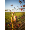 Pretty, young woman collecting rosehip fruit in autumn nature