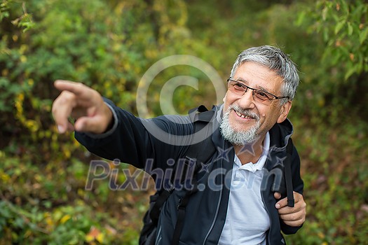 Active handsome senior man stoping for a moment while nordic walking/hiking outdoors on a forest path, enjoying his retirement Active handsome senior man stoping for a moment while nordic walking/hiking outdoors on a forest path, enjoying his retirement